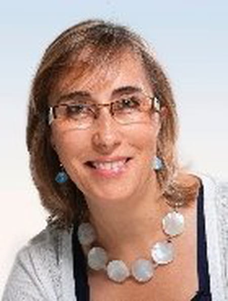 Florence BOYER DEVholis Tours Viadeo
